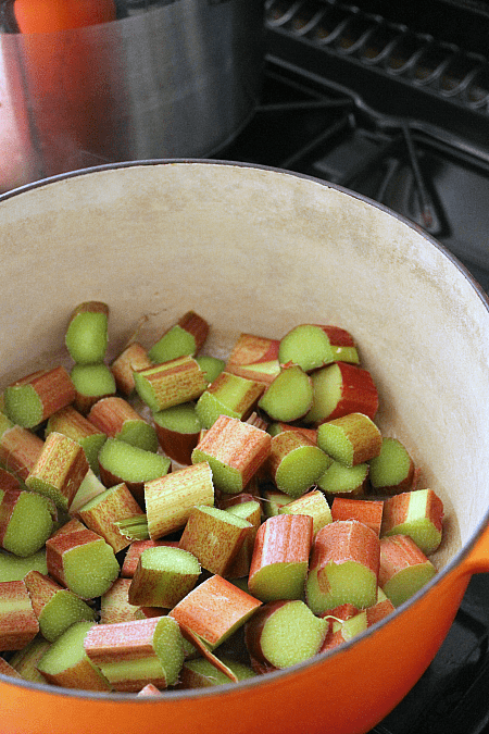 rhubarb recipes