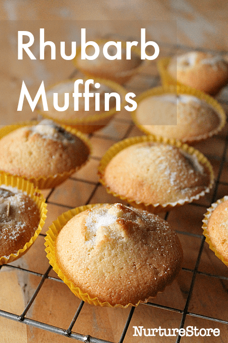 easy rhubarb muffin recipe