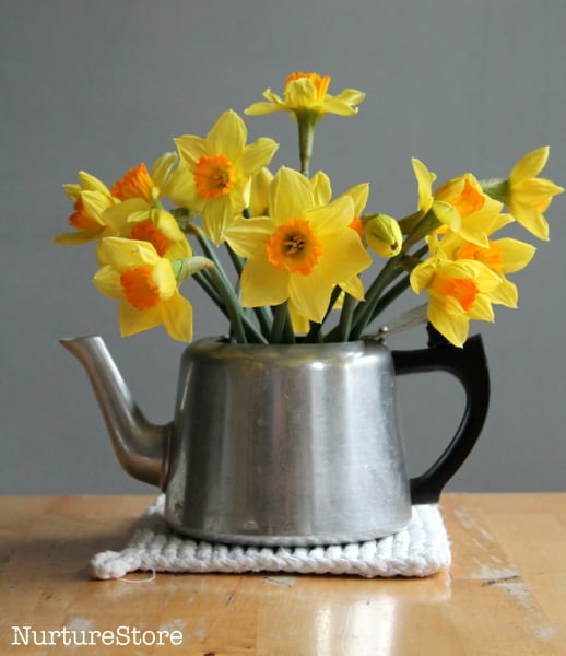 daffodils in kettle