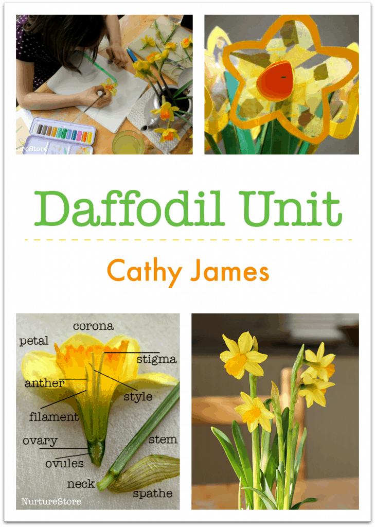 Learning about daffodils unit :: spring lesson plans - NurtureStore