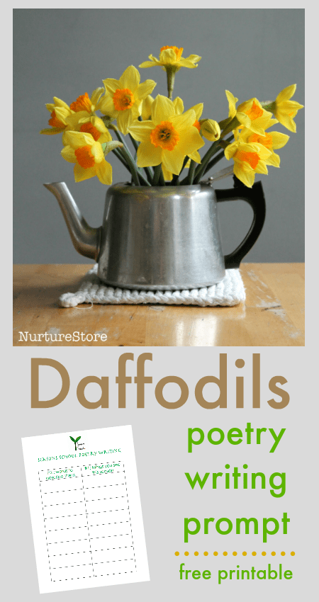 creative writing of daffodils