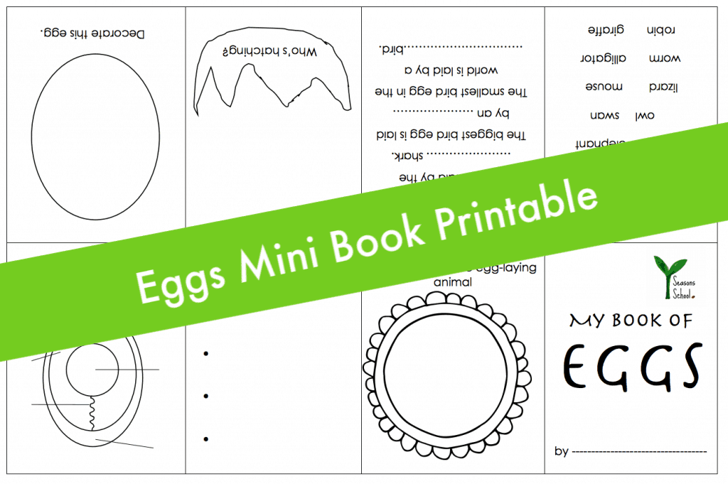 What are eggs? lesson plan with printables - NurtureStore