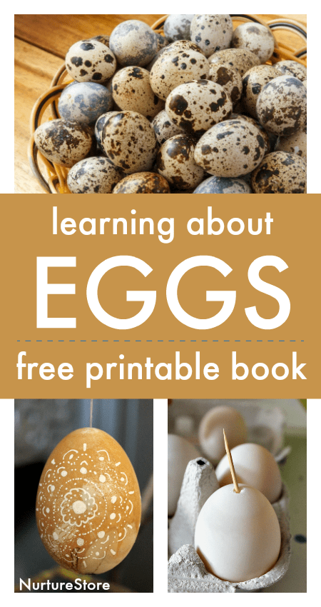 egg unit free printable book, learning about eggs