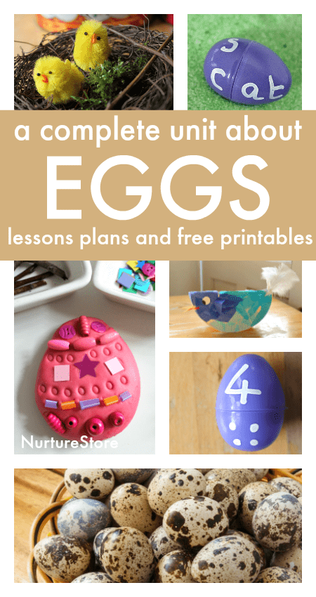 A complete egg unit with egg lesson plans and free printables