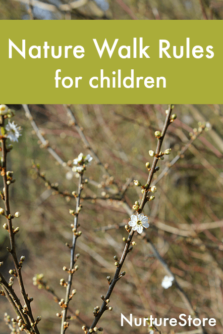 simple nature walk rules for children