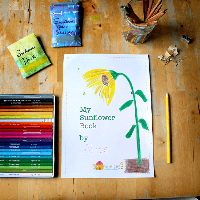 learning about sunflowers unit for homeschool