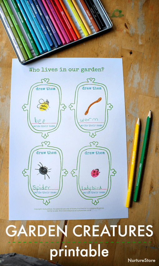 mini beast printable, backyard animals lesson plan printable