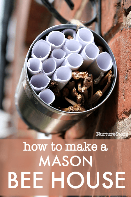 https://nurturestore.co.uk/wp-content/uploads/2018/07/how-to-make-a-mason-bee-house-bug-hotel.png