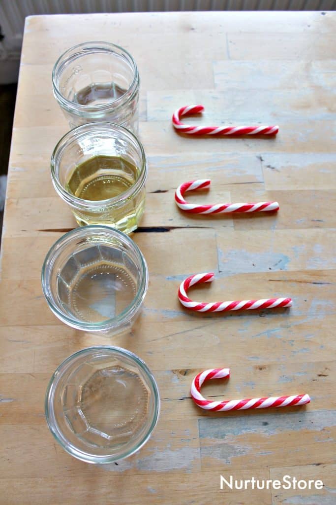 dissolving candy canes science experiment