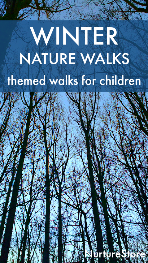 winter nature walk ideas for children, winter themed nature study ideas