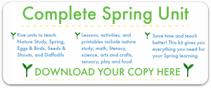 Learning about daffodils unit :: spring lesson plans - NurtureStore