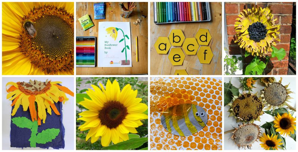 sunflower lesson plans for children