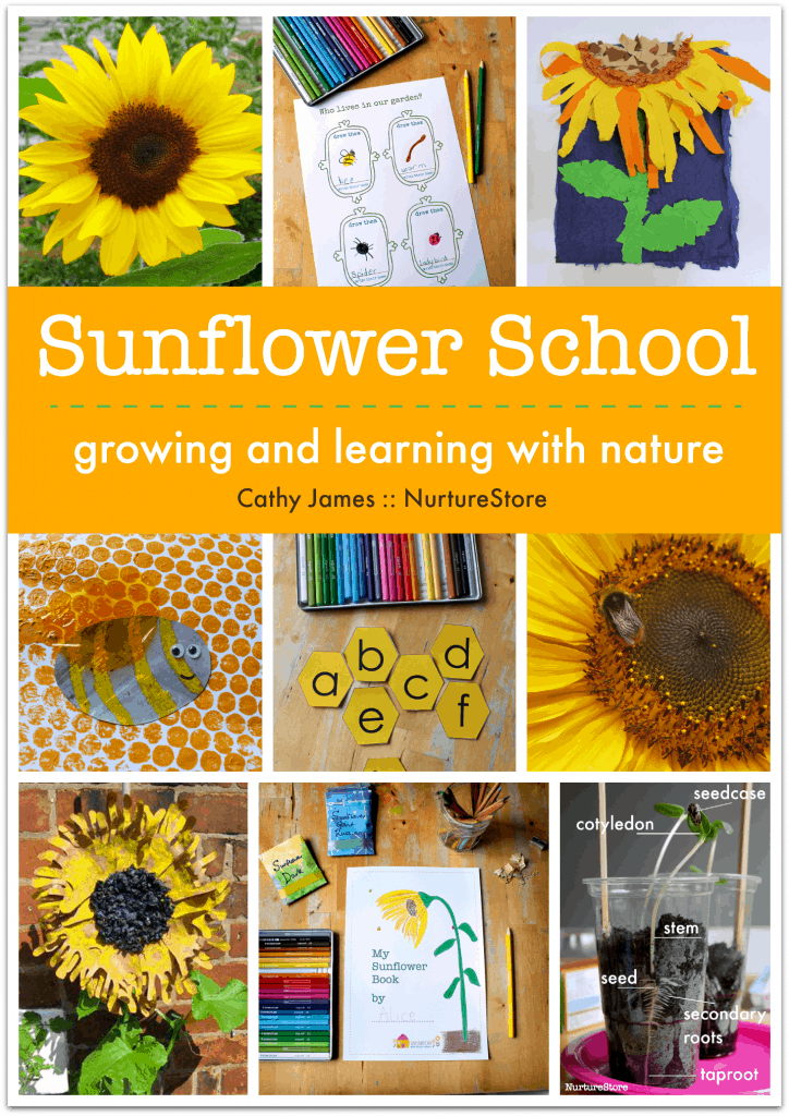 Sunflower activities for children. how to grow sunflowers, school gardening club activities