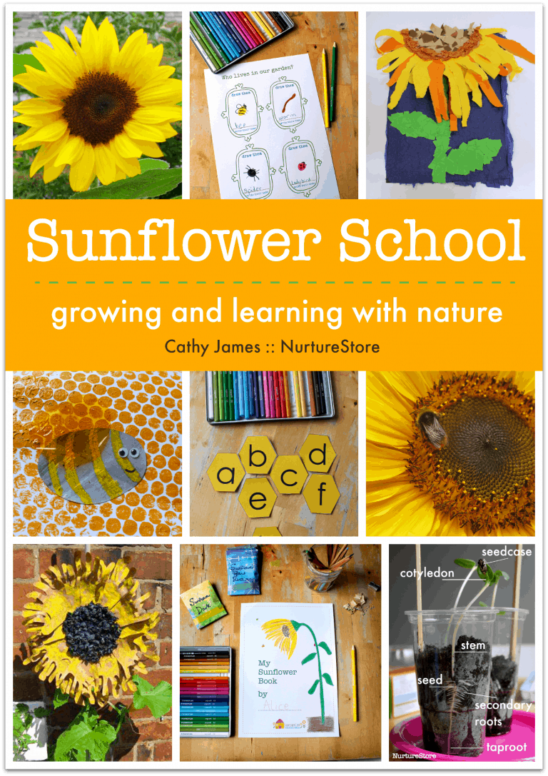 sunflower-height-chart-nurturestore