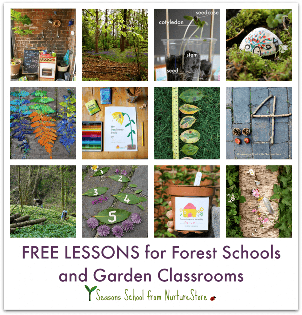 forest-school-activities-for-outdoor-classrooms-nurturestore