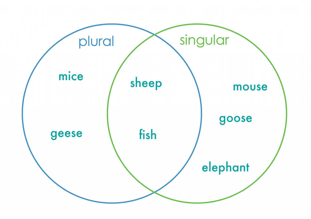 Easy Venn Diagram Lesson With Printable Nurturestore