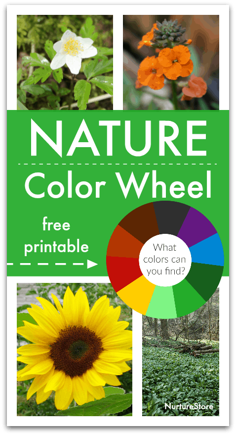 Nature Colour Wheel Activity With Printable Colour Wheel Nurturestore