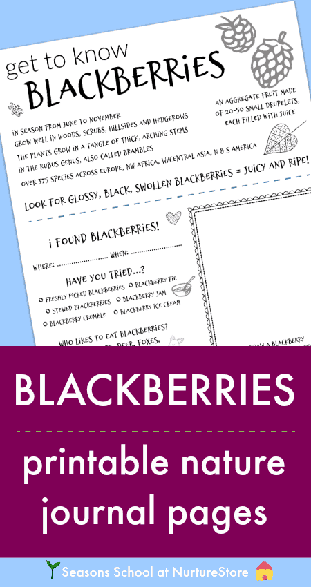 blackberry blackberry blackberry poem