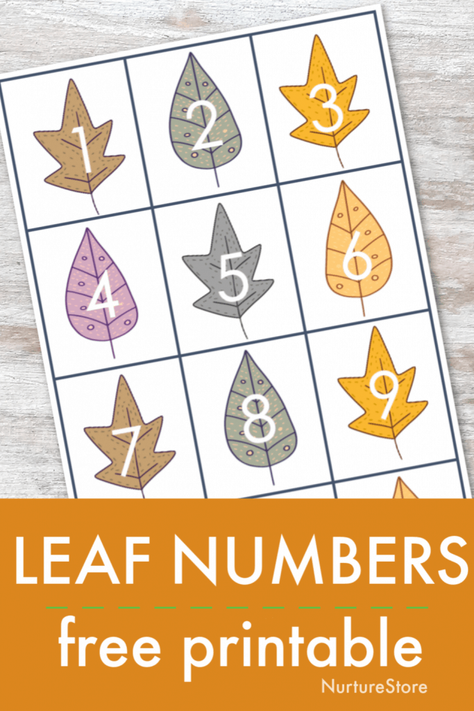 Leaf number printable for fall math activities NurtureStore