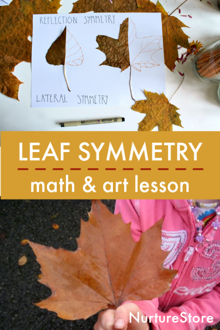 Leaf Symmetry Math & Art Lesson text and background of fall leaves and a paper and pen