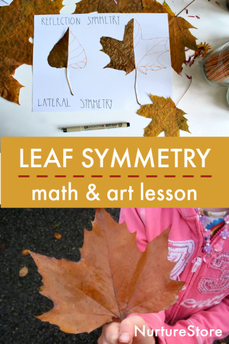 Leaf Symmetry Lesson Combining Math And Art Nurturestore