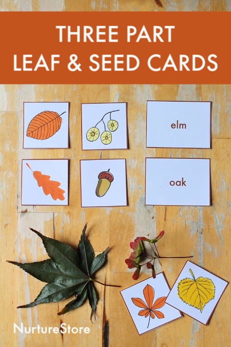 eight-ways-to-use-these-free-printable-three-part-leaf-cards-for-forest