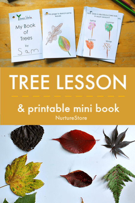 Tree lesson plan and tree mini book printable - NurtureStore