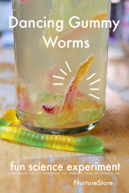 dancing gummy worms science experiment with candy