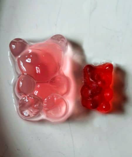 salt water gummy bear experiment