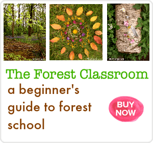 the forest classroom