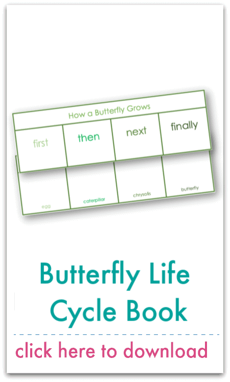 butterfly life cycle book