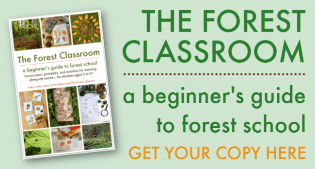 the forest classroom