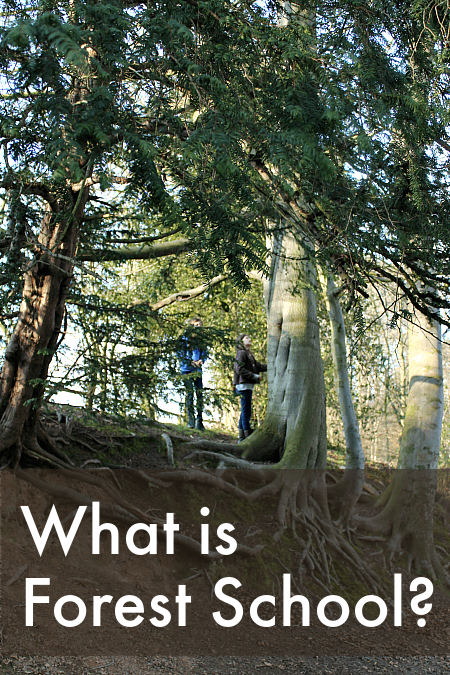 what is forest school?