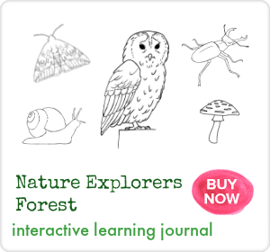 Nature Explorers: Forest