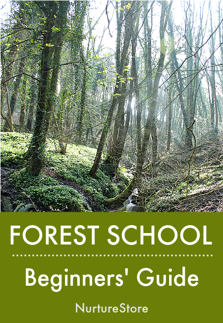 forest school beginners guide