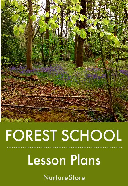 forest school lesson plans