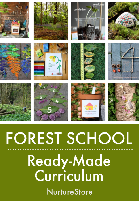 forest school curriculum