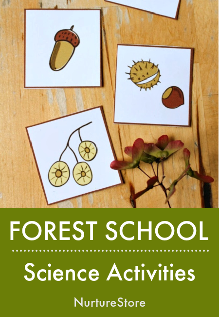 forest school science activities for children
