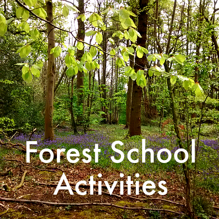 forest school activities