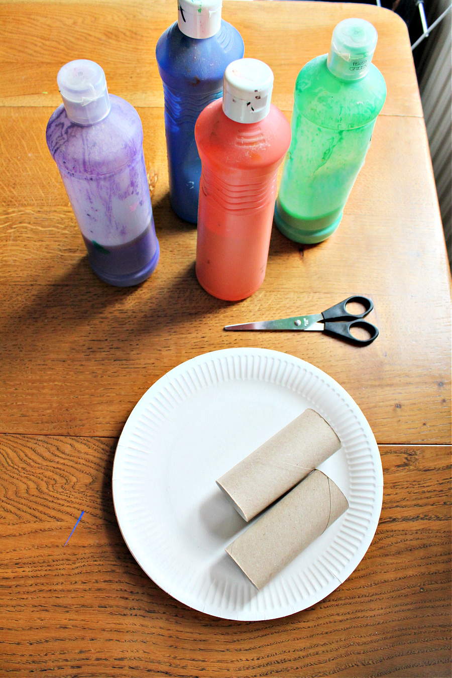 Easy firework craft using paper roll printing - NurtureStore