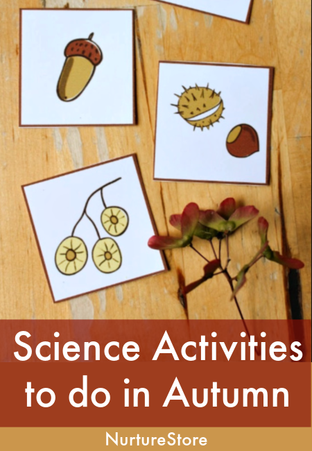 Science activities to do in autumn