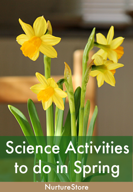 spring gardening activities