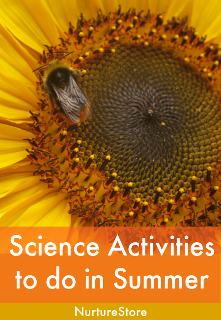 Science activities to do in summer