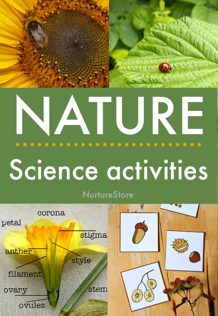Nature science activities for children