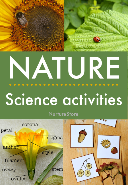 nature science activities for children