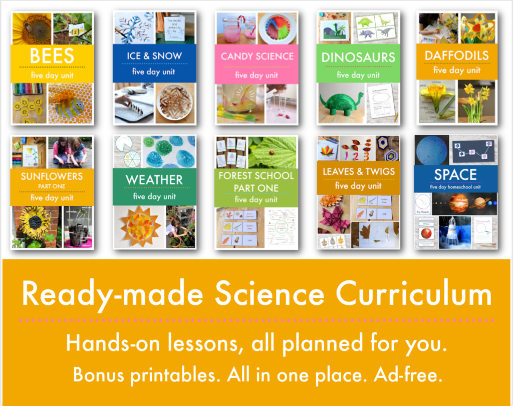 ready-made curriculum of science activities