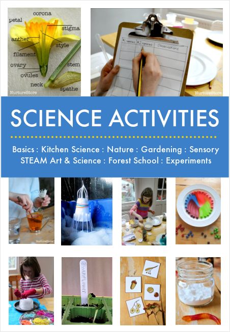 Science activities for children 