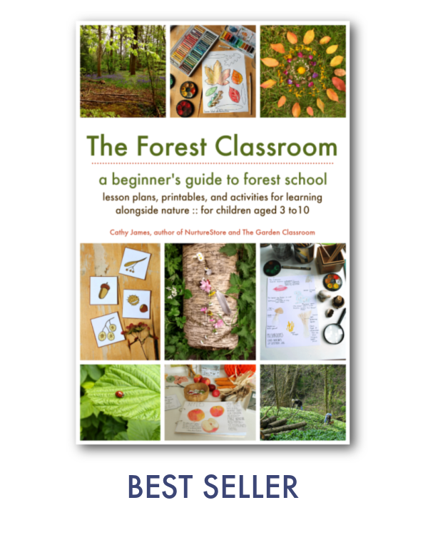 beginners guide forest school