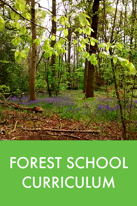 forest school curriculum