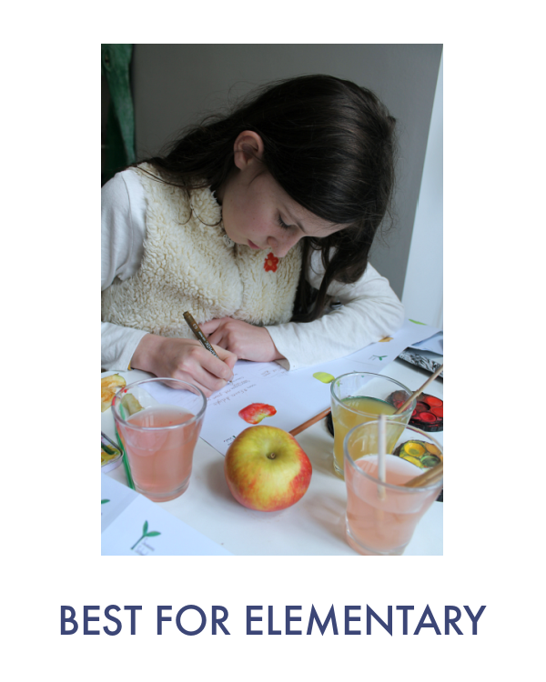 best elementary curriculum